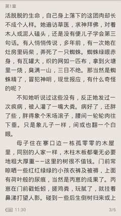 怎么查询菲律宾的黑名单，能不能洗白？